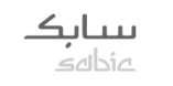 Partner 21 logo